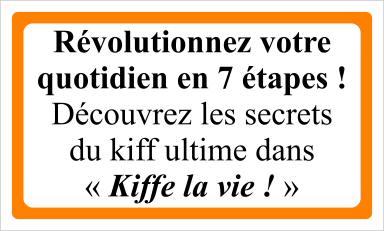 Kiffe la vie ! 2